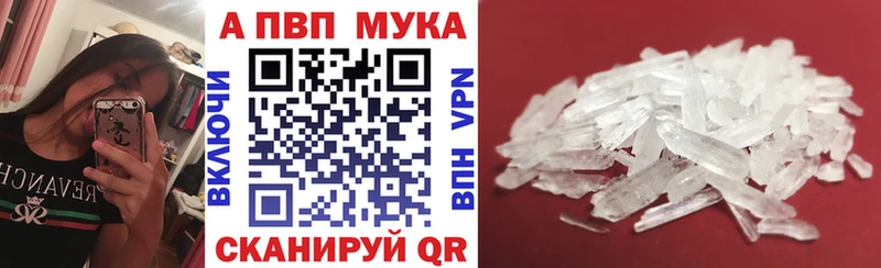 A PVP СК КРИС  Тихорецк 