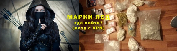 хмурый Новозыбков