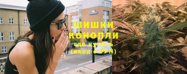 хмурый Новозыбков