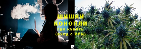 хмурый Новозыбков