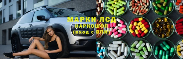хмурый Новозыбков