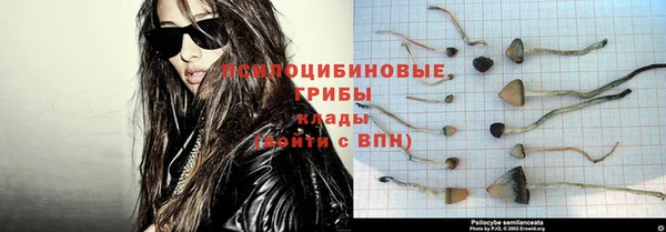 прущая мука Новодвинск