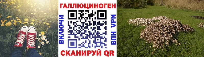 МЕГА онион  Тихорецк  Галлюциногенные грибы ЛСД 